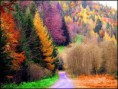 /album/fenykepgaleria/a431351-294048207315161-116276405092343-767060-1212911430-n-jpg/